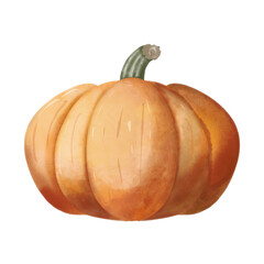 A pumpkin, illustration, element, PNG.