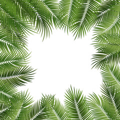 Summer poster framed with green palm leaves on transparent background.
