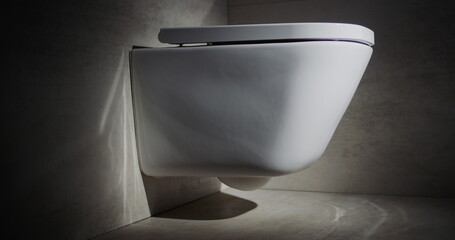 Stylish white toilet bowl in a modern toilet