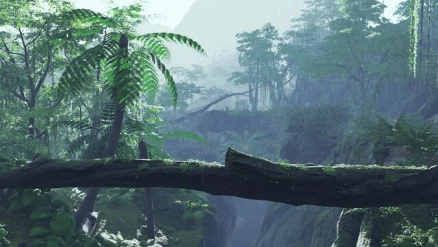 tropical jungles of South East Asia