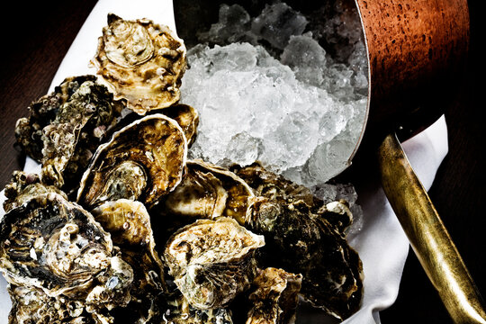 Oisters and icecubes