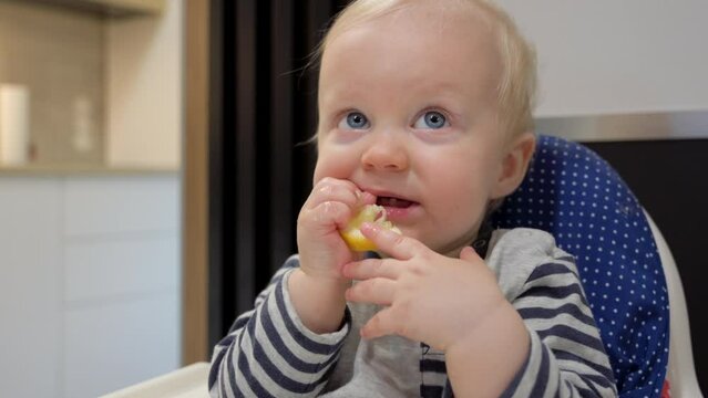 Beautiful baby boy with blue eyes sitting in child seat, eating fresh sour lemon and face grimacing. Close-up portrait, facial expression.