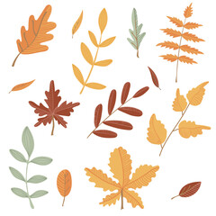 Set of autumn leaves. Maple, oak, chestnut leaves. Hand drawn elements for autumn decorative design, halloween invitation, harvest or thanksgiving. Vector illustration