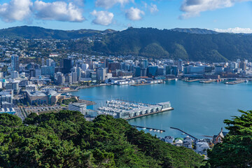 View over the capital Wellington