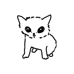 cute kittens baby cat