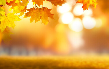Beautiful  blurred gentle universal natural light autumn background with yellow leaves and blurred bokeh.