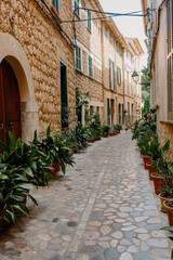 Fototapeta na wymiar Narrow street with plants in Mallorca, Spain