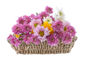 chrysanthemums in basket on transparent png