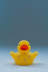 A single yellow rubber duck toy against plain background