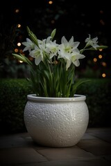 White flowers in ceramic planter in garden at night, created using generative ai technology