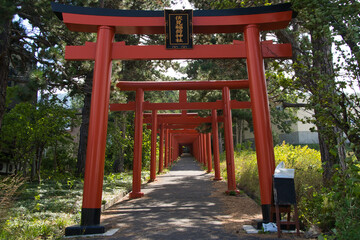 札幌伏見稲荷神社の鳥居