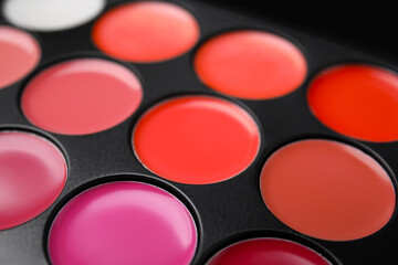 Cream lipstick palette as background, closeup. Professional cosmetic product