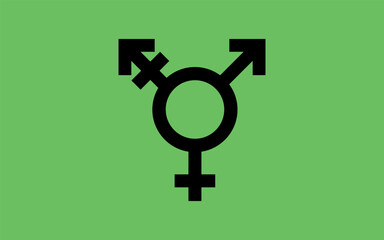 Israeli transgender pride flag Sexual identity pride flag