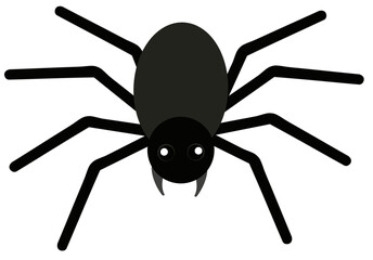 Spider - Black Spider illustration -  Spide PNG
