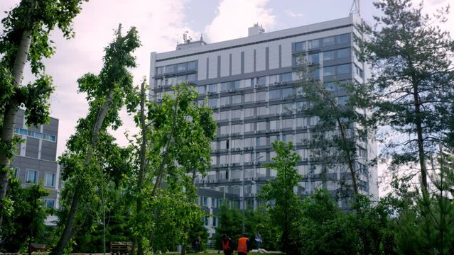 Lawn laying work visible from multi-storey building in city park. City workers ennoble surrounding territory with greensward