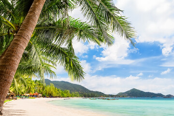 Beautiful sand beach with coconut palm trees against blue sky in Koh Tao, Thailand.