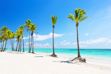 Beautiful tropical white sand beach, coconut palm trees and turquoise blue water in Punta Cana, Dominican Republic.