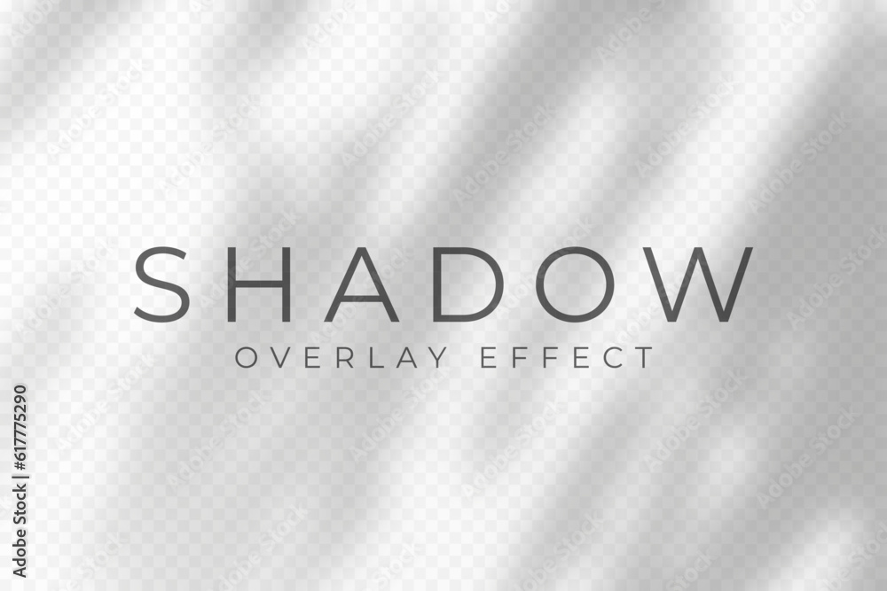 Leinwandbilder shadow overlay effect. transparent soft light and shadows from plant branches, leaves and foliage. m