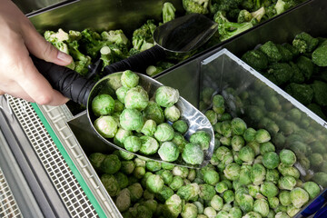 Frozen brussels sprout in the shop fridge. Female hand holding scoop with Brussels sprouts in supermarket.