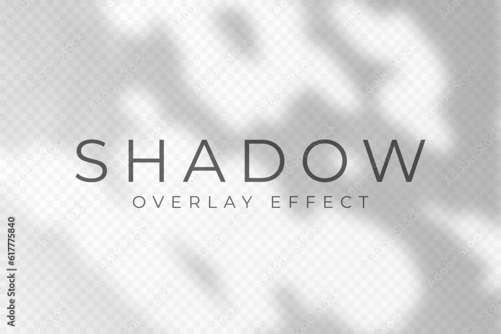Leinwandbilder shadow overlay effect. transparent soft light and shadows from plant branches, leaves and foliage. m