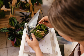 woman makes a composition of plants in the florarium, close-up