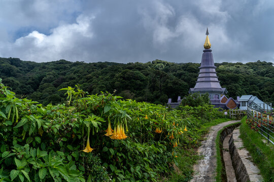 View of Pra Mahatat Noppamethanedon and Pra Mahatat Nopphonphusiri Chiang Mai, Thailand