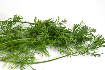 Several green dill leaves on white.
