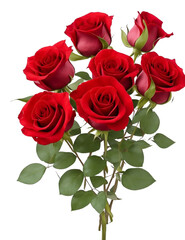 hyper-realistic red rose flowers bouquet on white background easy for decoration transparent background (PNG)