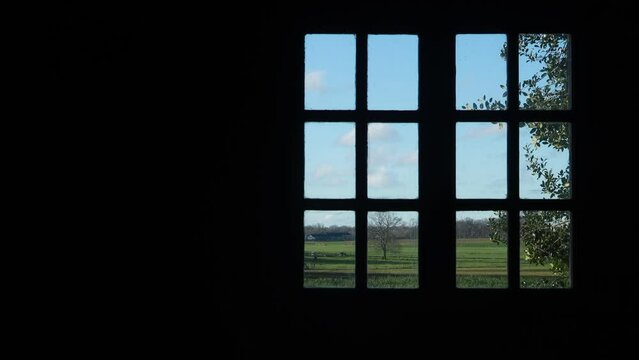 outside view of backyard through window