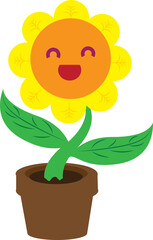 argriculture  flower in the pots