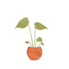 illustration of plant in a pot 
