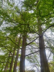 Fototapeta premium Maravillas de la Naturaleza