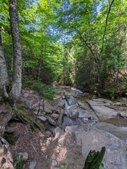Obraz premium Northeastern US Landscapes