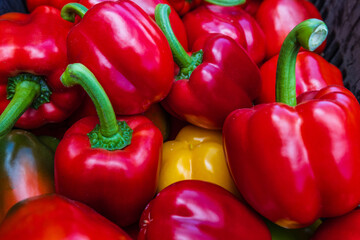 The colorful of bell peppers during harvest time.