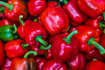 The colorful of bell peppers during harvest time.