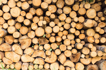 stack of firewood