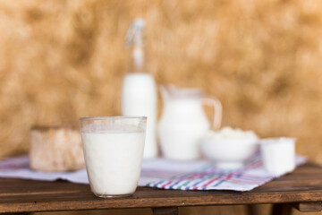 milk, cottage cheese, cream, cheese on table against the background of hay