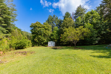 yard outdoor area