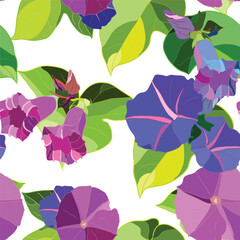 Seamless pattern with morning glory flowers