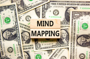 Mind mapping symbol. Concept words Mind mapping on wooden blocks on a beautiful background from dollar bills. Business, support, motivation, psychological and mind mapping concept. Copy space.