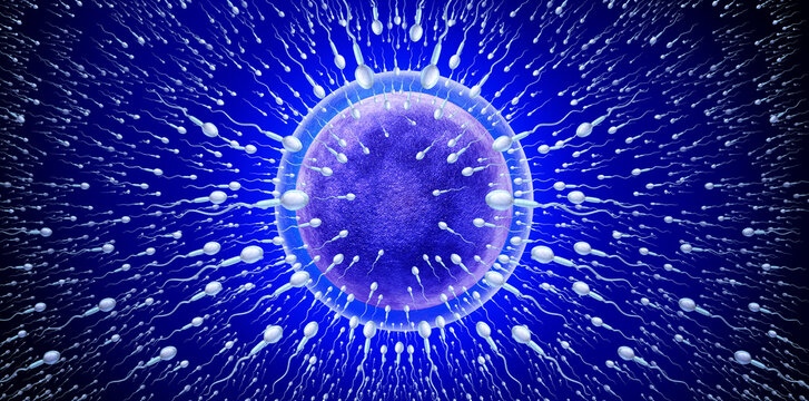Male fertility and mens Infertility or reproduction concept as healthy microscopic sperm or spermatozoa cells swimming towards an egg cell as a urology symbol 