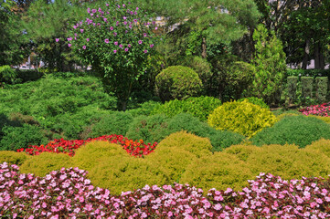 Beautiful bright flower garden with different flowers in the city botanical garden