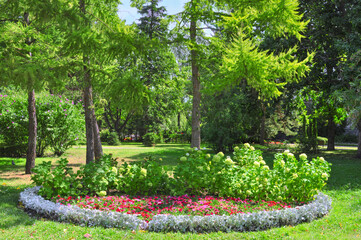 Beautiful bright flower garden with different colors among coniferous trees in the city botanical garden