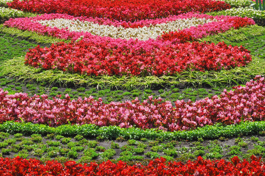 Beautiful multi-tiered bright flower garden with different flowers in the city botanical garden