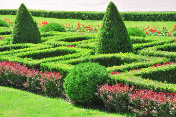 Decorative geometric garden maze of flowers and bushes