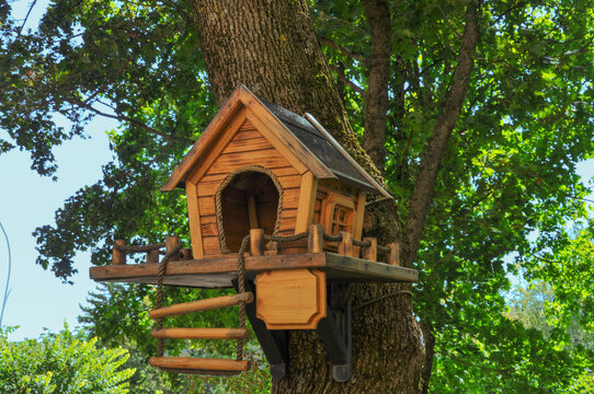 Beautiful wooden bird feeder in a rustic style with a ladder on a tree