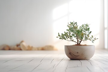 Modern Interior Design Concept with White Wall Background. Tabletop for your product with Tree Pot and Beautiful Plants as Decoration in Room