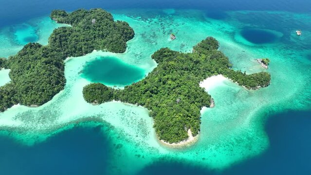 Calm seas surround the idyllic islands of Pisang off the coast of West Papua, Indonesia. This tropical region harbors extraordinary terrestrial and marine biodiversity.