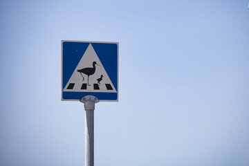Schild
