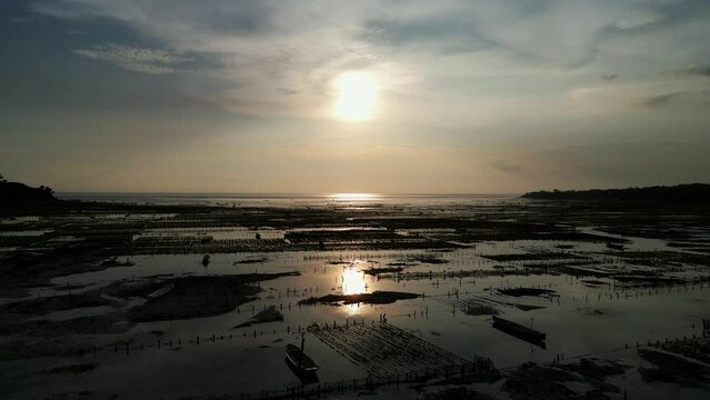 Sea field with Red Algae plantation in evening time